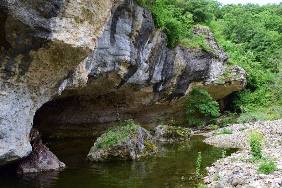 Защитена зона "Мост Арда"