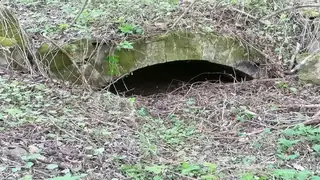 Останки от каменна воденица - Солари