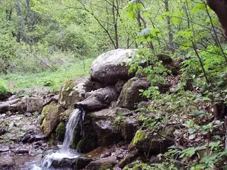 Извор "Живата вода" - Боснек