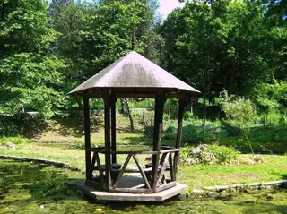 Лесопарк "Липник" - Николово