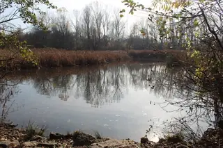 Езерото с патици в Южен парк - София