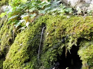 Извор "Света вода Благодатна" - София