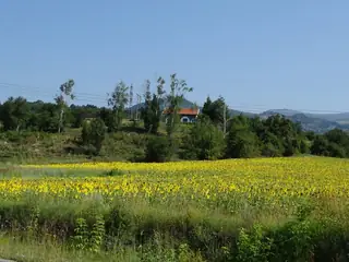Параклис "Св. Петка" - с.Мирково
