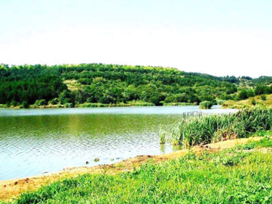 Язовир "Дрян" - Красен