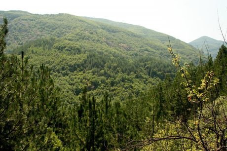Поддържан резерват "Казълчерпа"