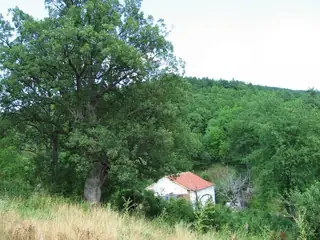 Голямобуковски манастир "Св. Животоприемен източник" - Голямо Буково