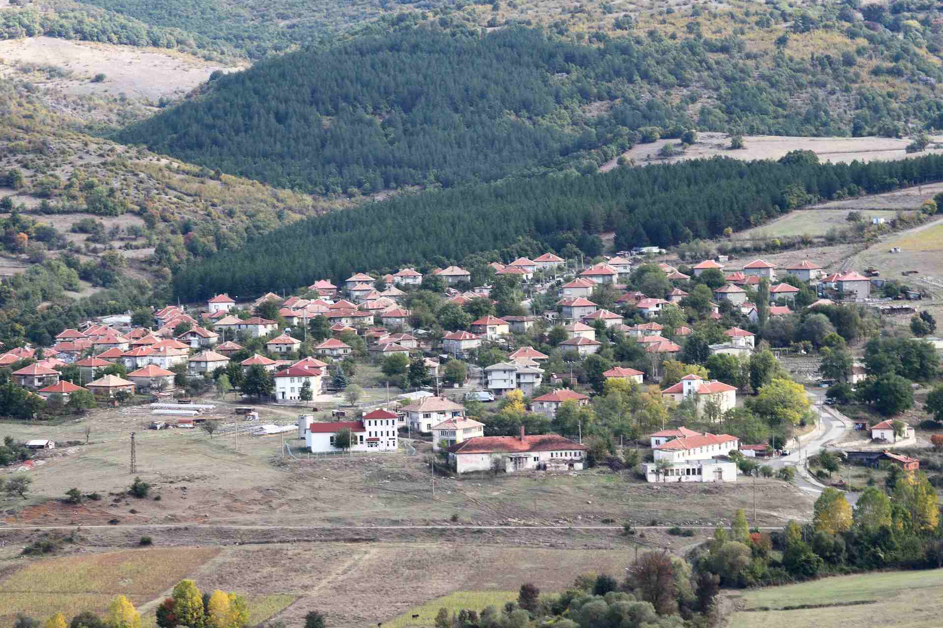 Татул