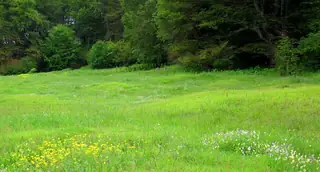 Исторически маршрут "По стъпките на Ботевата чета"