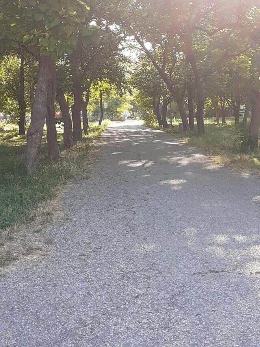 Парк Мартен