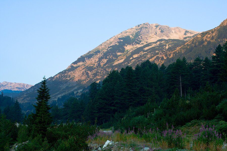 Хвойнати връх - Пирин