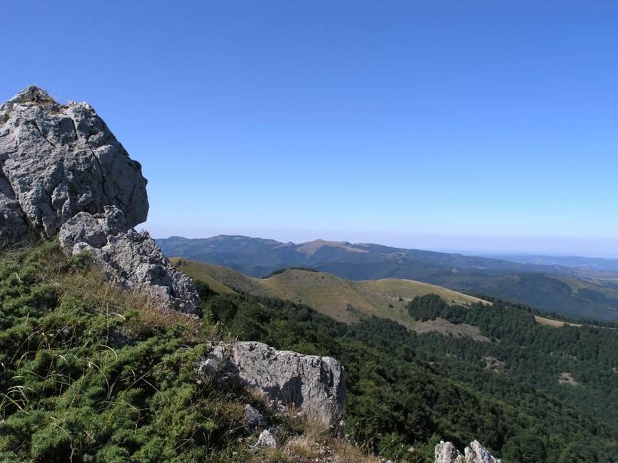 Местност "Джемински камък" - Антон