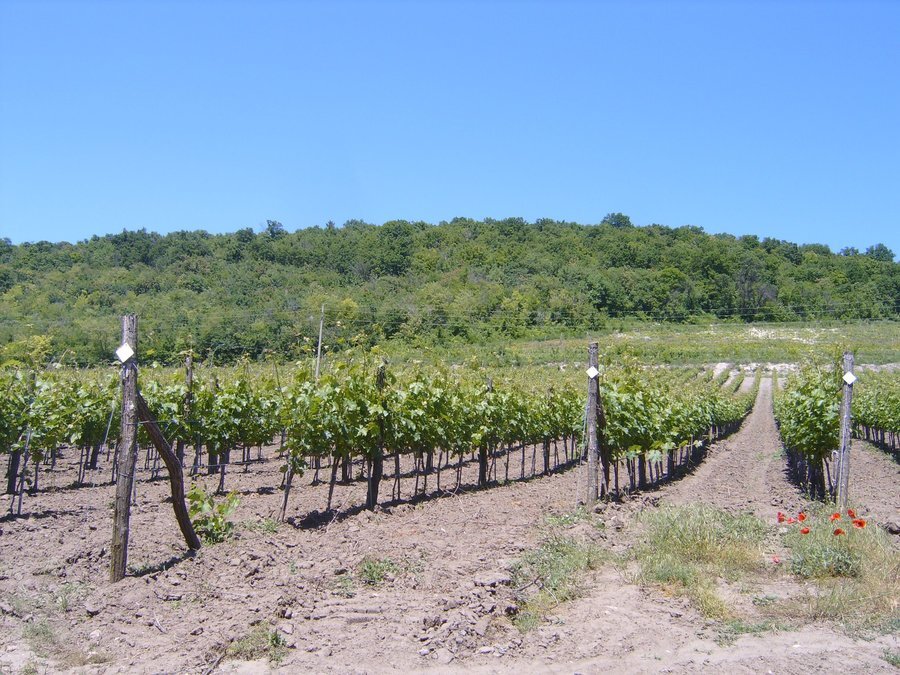 Местност "Тъпаните" - Блъсково