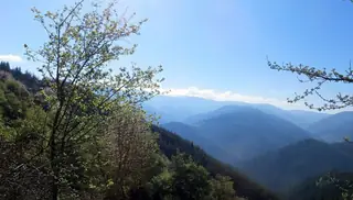 Връх Голям Персенк