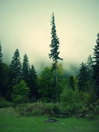 Резерват "Кирилова поляна"