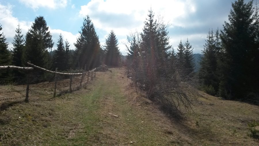 Екопътека "Драгиева чешма" - Чавдар