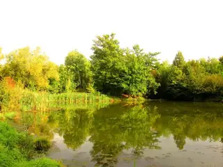 Село Долни Драгойча и вековният дъб от времето на Асеневци - Дряново