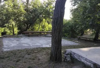 Местност „Тракийска чешма“ — горска поляна за пикник край Аксаково (Варна)