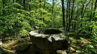 Тракийско светилище Кутела - Розовец