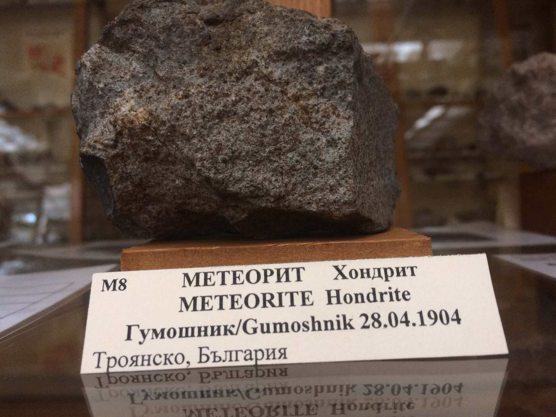 Гумощник