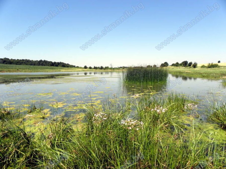 Езеро Дедевец - Деветаки