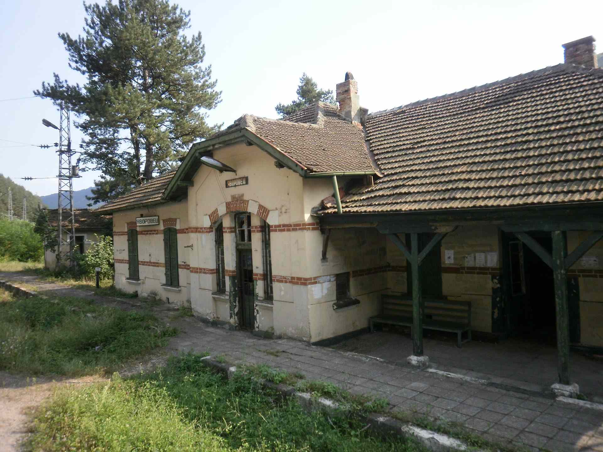 Яворовец
