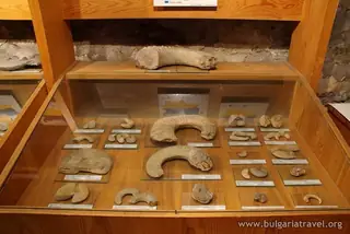 Музей по палеонтология – Елена