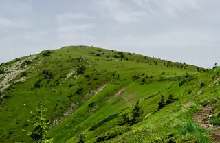 Връх Малък Ком