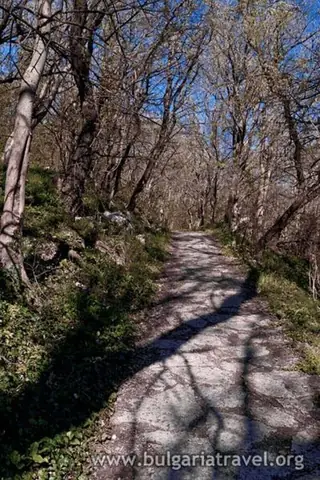 Природен парк "Златни пясъци"