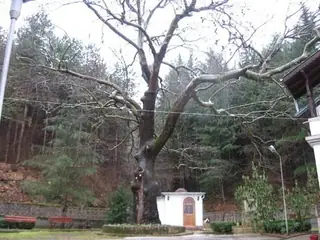 Петрички манастир "Св. Петка" - Петрич