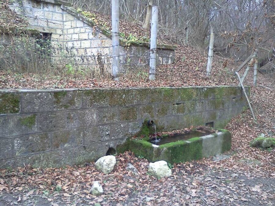 Място за пикник - Орешак