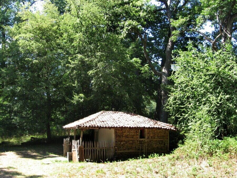 Местност "Св. Илия" - Кости