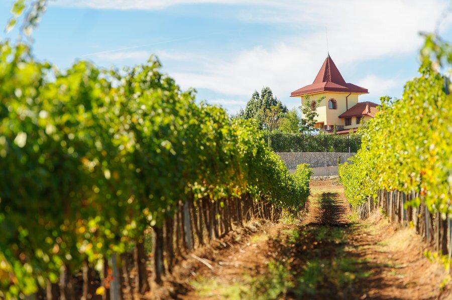 Винарска изба "Рупел"