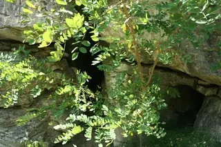 Защитена местност "Рибино"