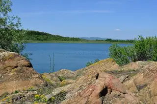 Скаленско блато - Скала