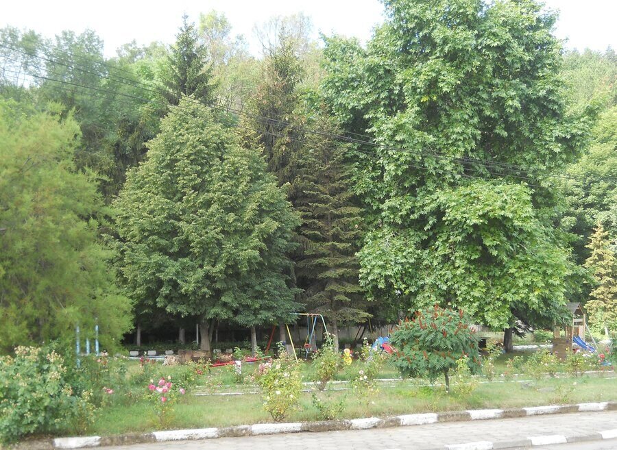 Парк - с.Извор