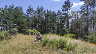 Връх Чеканска чука