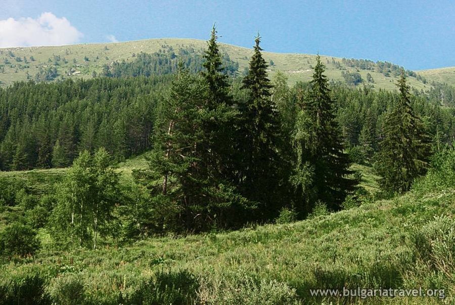 "Хайдушка екопътека" - Годлево