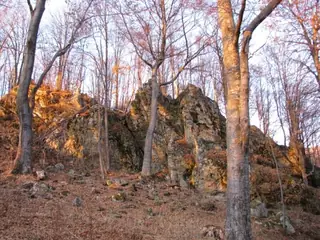 Крепост "Шешикинград" - Твърдица