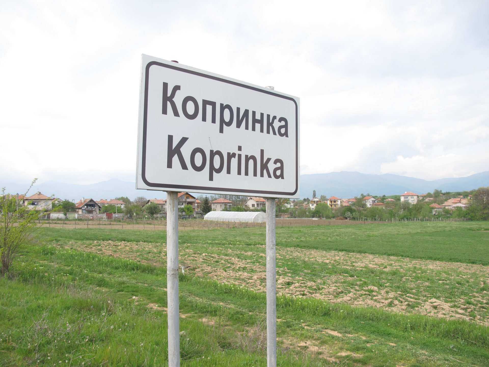 Копринка