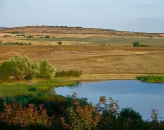 Лале баир - Бургас