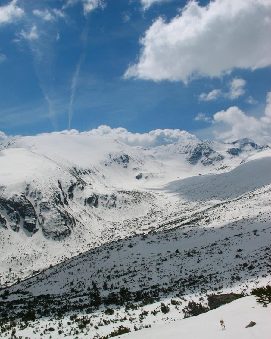 Връх Ястребец - Рила