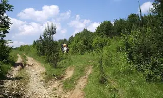 Конен маршрут "Следотърсачи в природата"