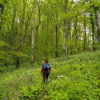 Познавателен маршрут "Горски свят"