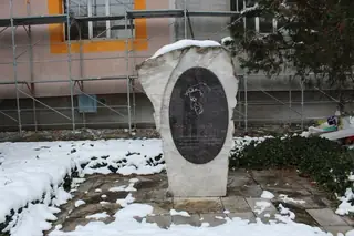 Паметник на Йордан Радичков - Видин