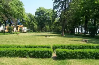 Крайдунавска градска градина - Видин