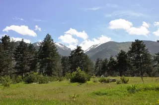 Местност "Пределски поляни"