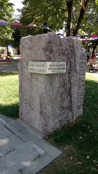 Паметник на първите видински вестникари - Видин