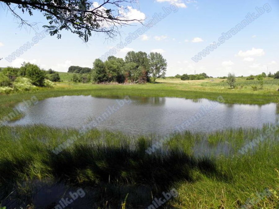 Езеро Стърницата - Деветаки