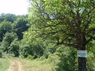 Защитена местност "Вековна букова гора" - Граница