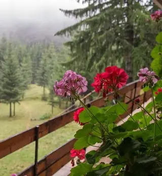 Хижа "Горски рай"